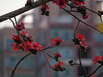P1002916 - Copy
