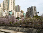 P1002935-1