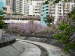 P1002938-1
