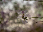 P1002949-1