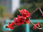 P1002961