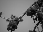 P1002995