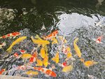 IMG_20250417_135955