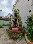 IMG_20250419_133541