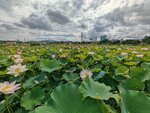 IMG_20250518_090343