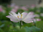 P1003516