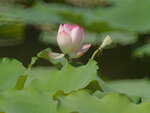 P1003819