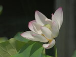 P1003821