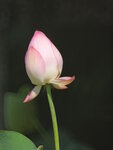 P1003825