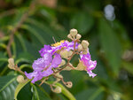 P1004572-1