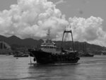 P1004577-1