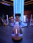 P1004446