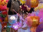 P1005167-1