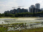 P1006430-1