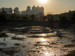 P1009449-1