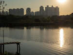 P1009453-1