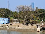 IMG_20260118_143905