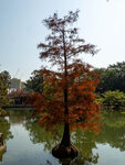 P1009576-1