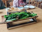IMG_20260404_134834
