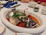 IMG_20260404_191324