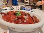 IMG_20260404_191446