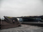 P1011089-1