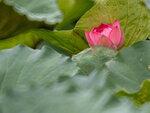 P1012560-1