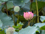 P1012566-1