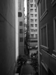 P1013141-1