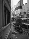 P1013142-1