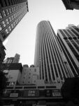 P1013166-1