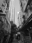 P1013180-1