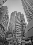 P1013214-1