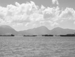 P1013736-1
