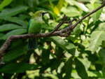 P1013977-1