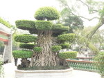 P1010465