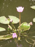 P1010479