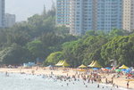 盛夏的黃金泳灘