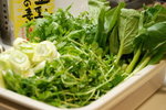 皇帝菜及菜芯苗。