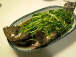 清蒸老虎斑(沒孔雀石綠啩!?)