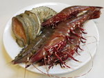 P1030076 -南非鮑魚及花鬼蝦