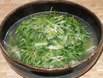 上湯金菇翡翠豆苗