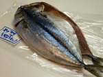 P1100446-日本鯖魚"一夜干"