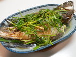 P1100683-海芝麻斑用作清蒸最能發揮其鮮味