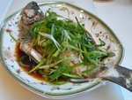 P1130333-清蒸海油斑，又滑又鮮味!