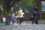 DSC_6183