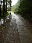 141104-046通往龍井村的山路─古時，中間為皇帝走的，兩邊為太監走的。聽說浙江人新年會走一趟，以祈好運。遠處走來的是馮婆婆