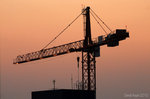 DSC_7733_Crane 2010