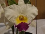 P1100062