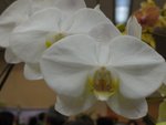 P1100099
